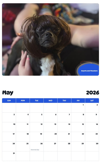 2026 - 2027 Coyote and theodore - Pawidols Pet Calendar