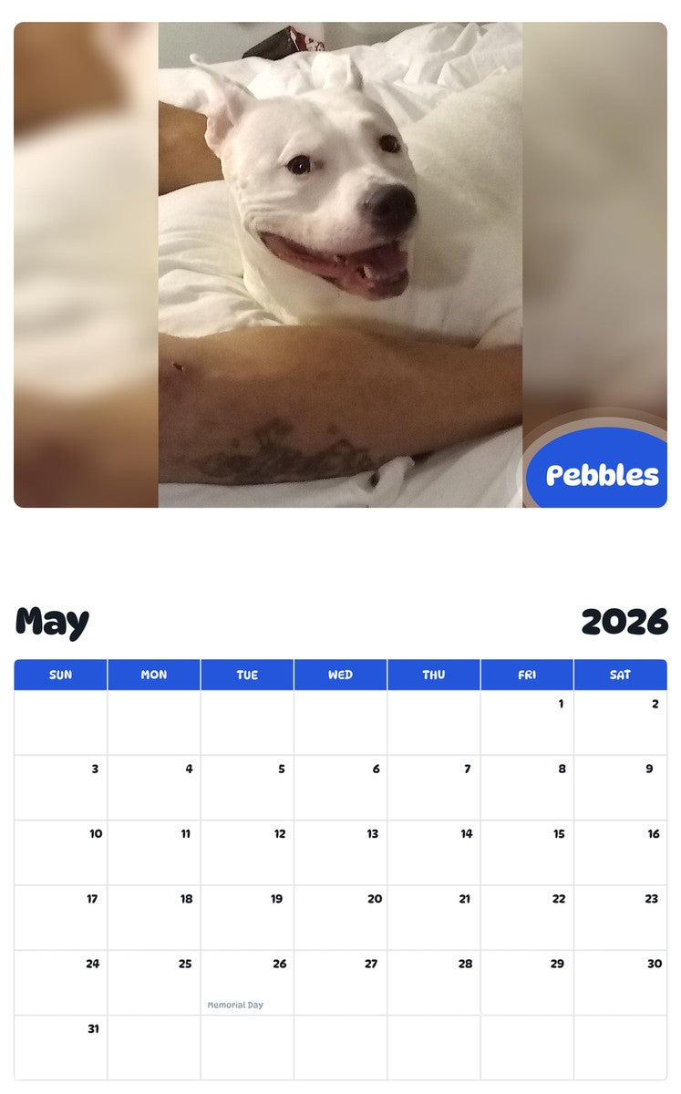 2026 - 2027 Pebbles - Pawidols Pet Calendar