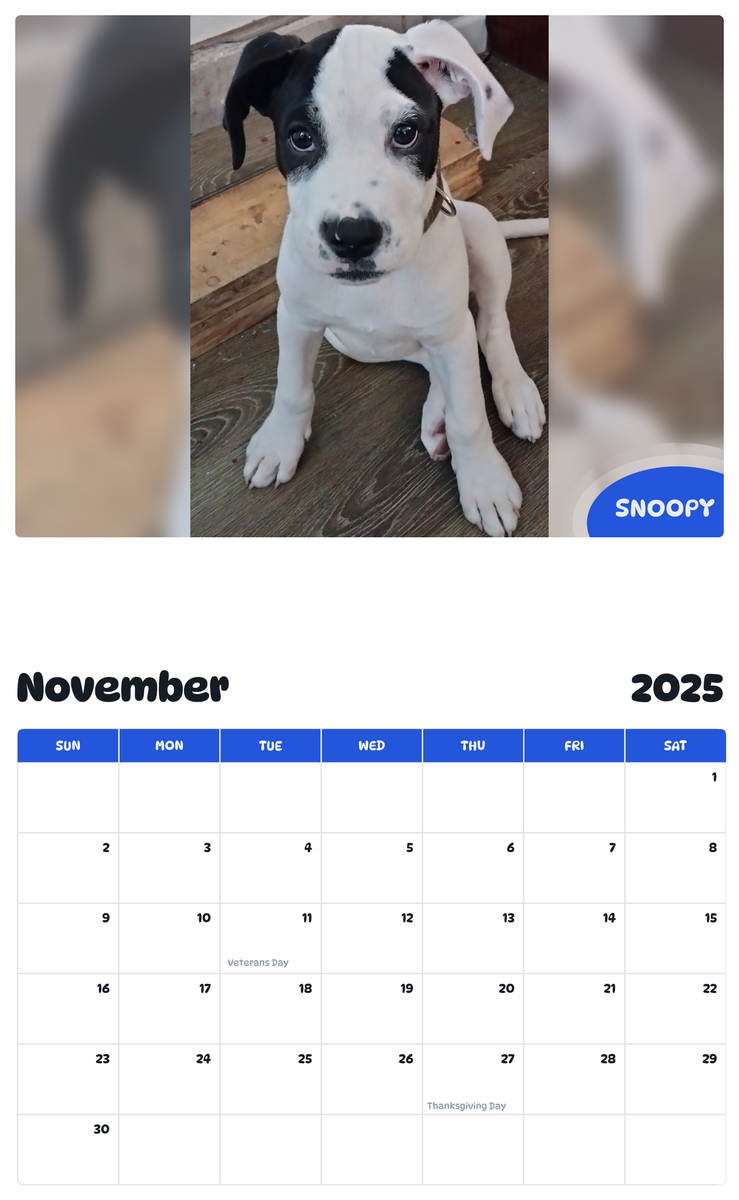 July 2025 - June 2026 Snoopy - Pawidols Pet Calendar