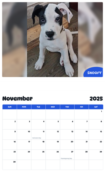 July 2025 - June 2026 Snoopy - Pawidols Pet Calendar