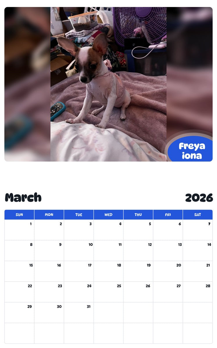 November 2025 - October 2026 Freya iona - Pawidols Pet Calendar