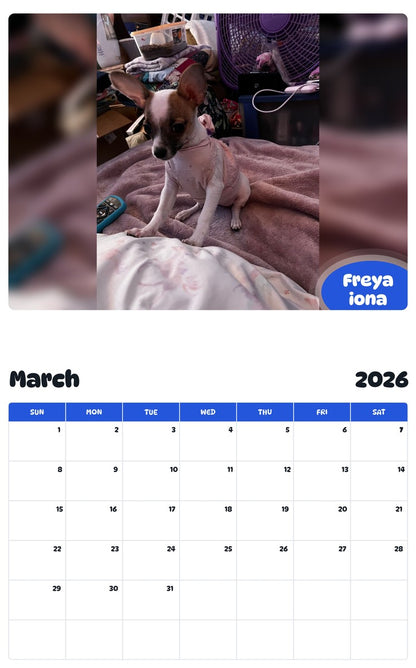 November 2025 - October 2026 Freya iona - Pawidols Pet Calendar