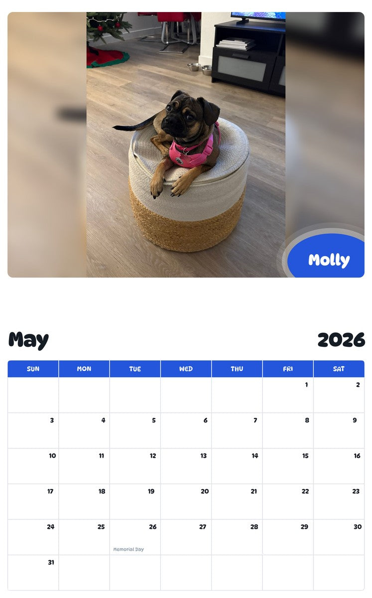 2026 - 2027 Molly - Pawidols Pet Calendar