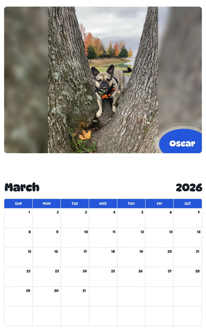 November 2025 - October 2026 Oscar - Pawidols Pet Calendar
