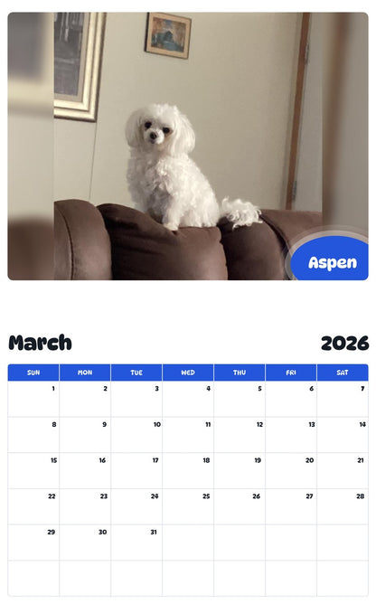 November 2025 - October 2026 Aspen - Pawidols Pet Calendar