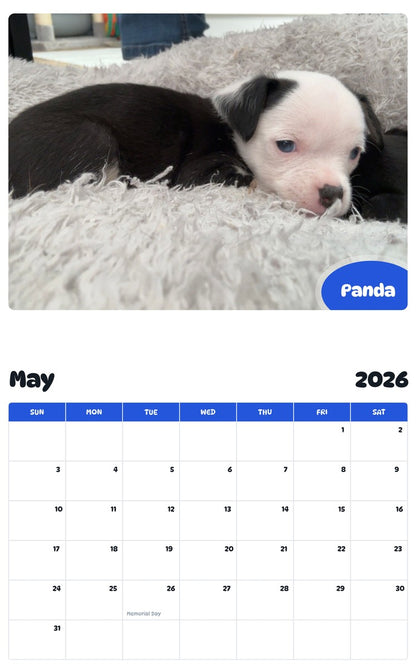 2026 - 2027 Panda - Pawidols Pet Calendar