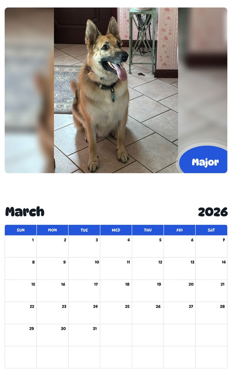 November 2025 - October 2026 Major - Pawidols Pet Calendar