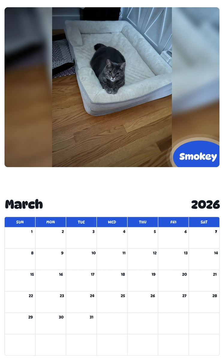 November 2025 - October 2026 Smokey - Pawidols Pet Calendar