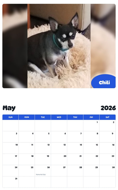2026 - 2027 Chili - Pawidols Pet Calendar