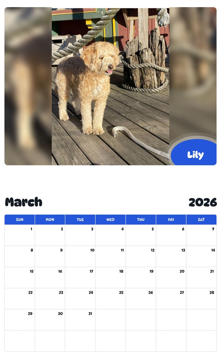 November 2025 - October 2026 Lily - Pawidols Pet Calendar