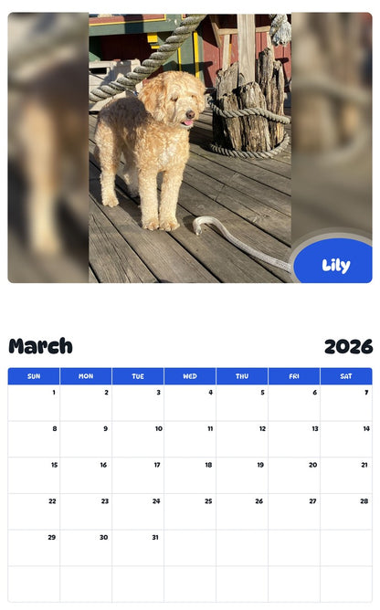 November 2025 - October 2026 Lily - Pawidols Pet Calendar