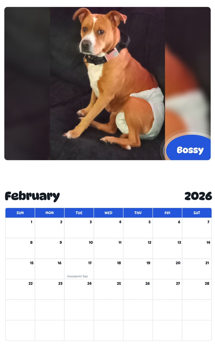 October 2025 - September 2026 Bossy - Pawidols Pet Calendar