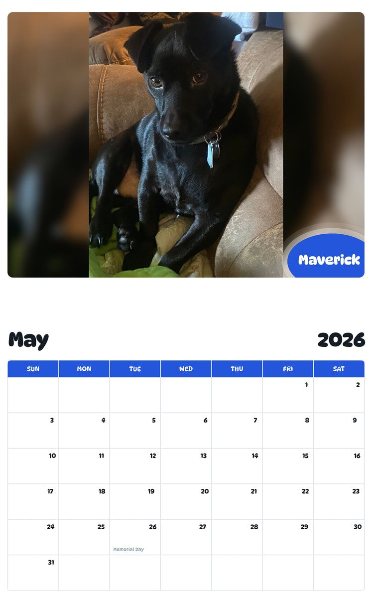 2026 - 2027 Maverick - Pawidols Pet Calendar