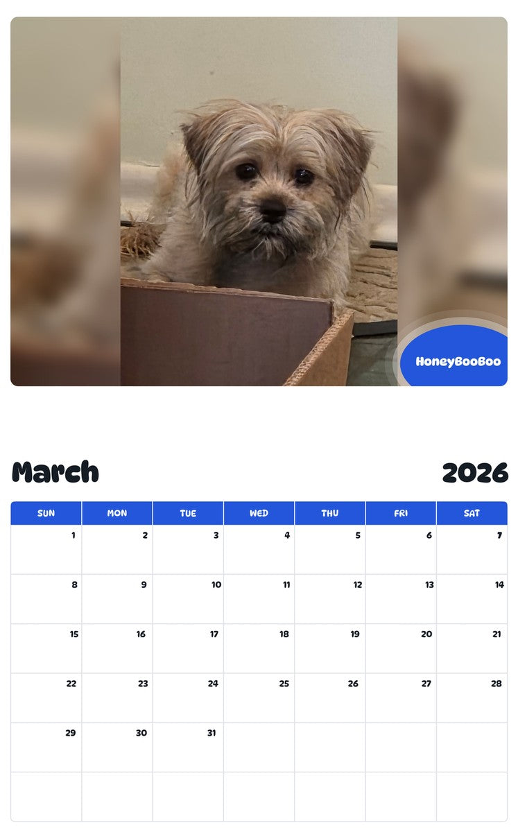 November 2025 - October 2026 HoneyBooBoo - Pawidols Pet Calendar