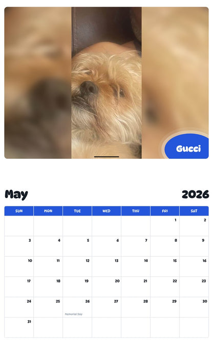 2026 - 2027 Gucci - Pawidols Pet Calendar