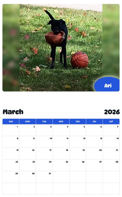 November 2025 - October 2026 Ari - Pawidols Pet Calendar