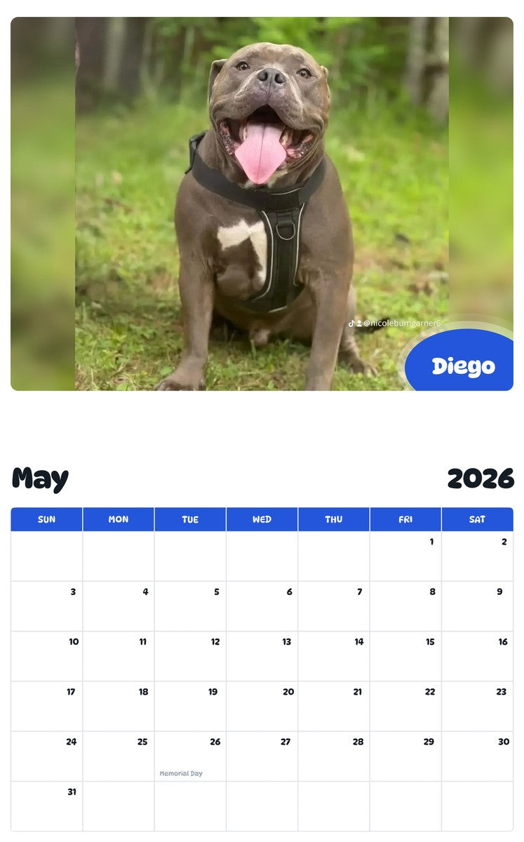 2026 - 2027 Diego - Pawidols Pet Calendar