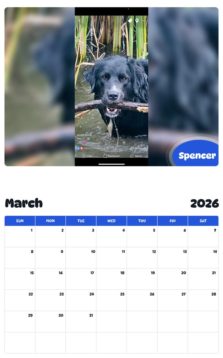 November 2025 - October 2026 Spencer - Pawidols Pet Calendar