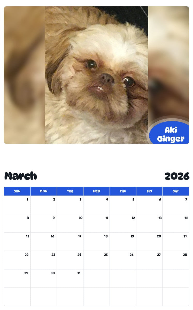November 2025 - October 2026 Aki Ginger - Pawidols Pet Calendar