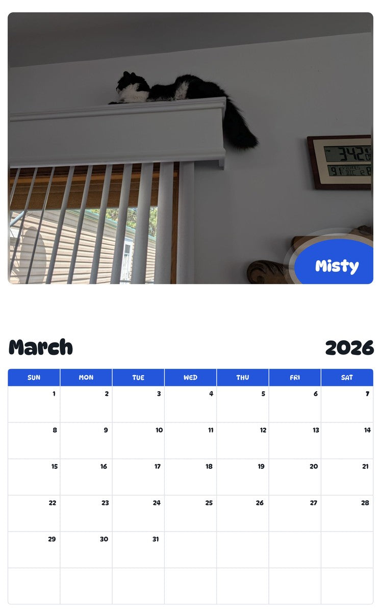 November 2025 - October 2026 Misty - Pawidols Pet Calendar