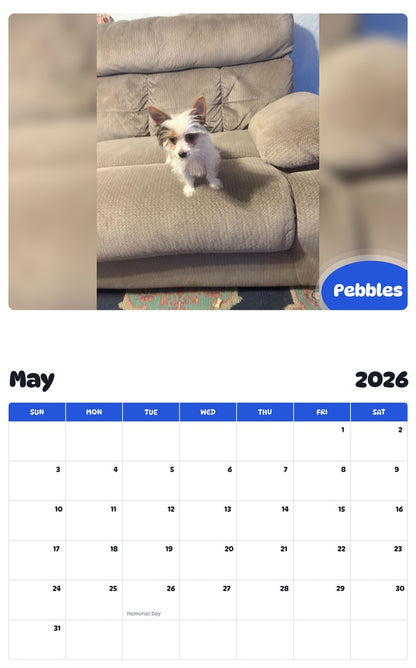 2026 - 2027 Pebbles - Pawidols Pet Calendar
