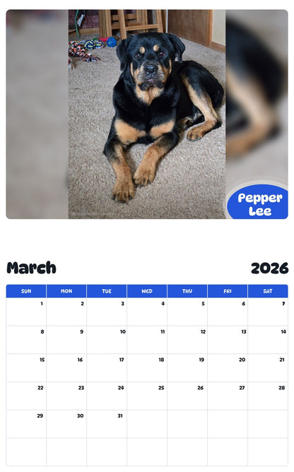 November 2025 - October 2026 Pepper Lee - Pawidols Pet Calendar