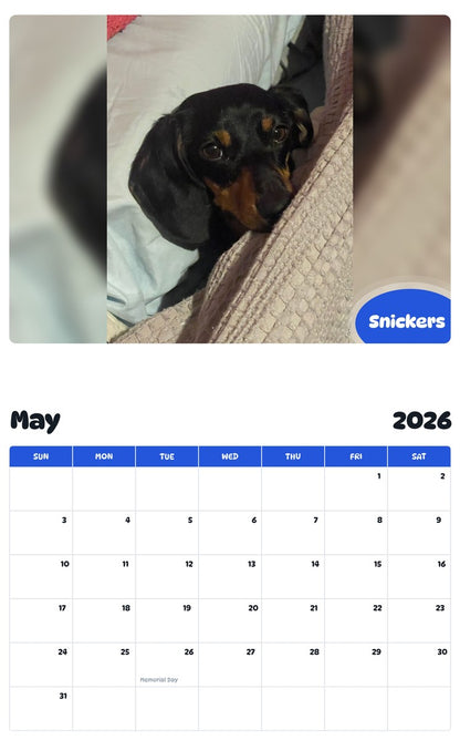 2026 - 2027 Snickers - Pawidols Pet Calendar