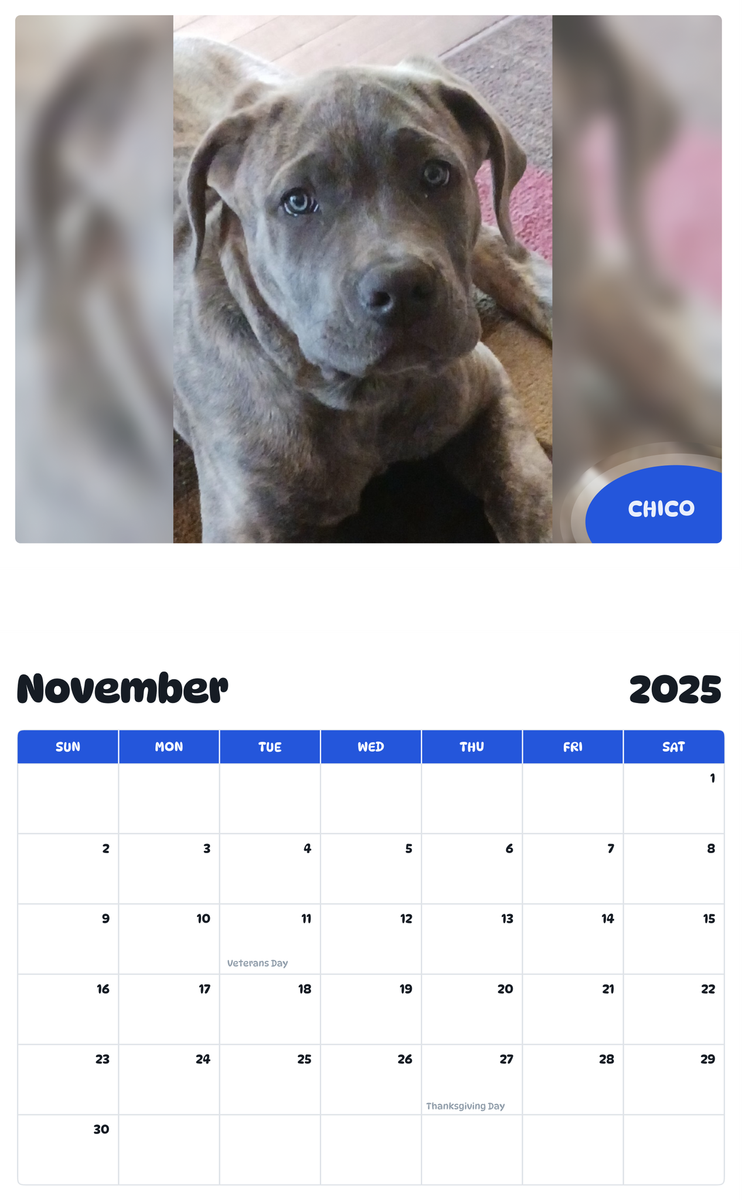 July 2025 - June 2026 Chico - Pawidols Pet Calendar