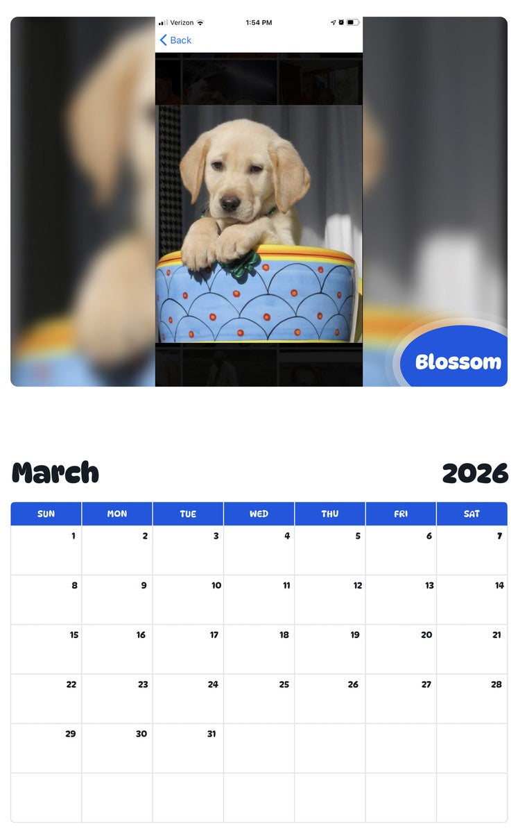 November 2025 - October 2026 Blossom - Pawidols Pet Calendar
