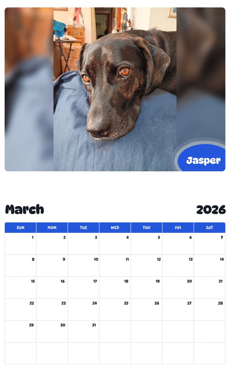 November 2025 - October 2026 Jasper - Pawidols Pet Calendar