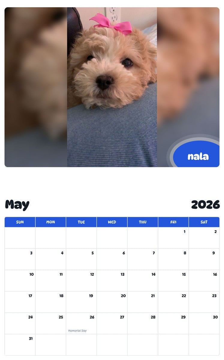 2026 - 2027 nala - Pawidols Pet Calendar