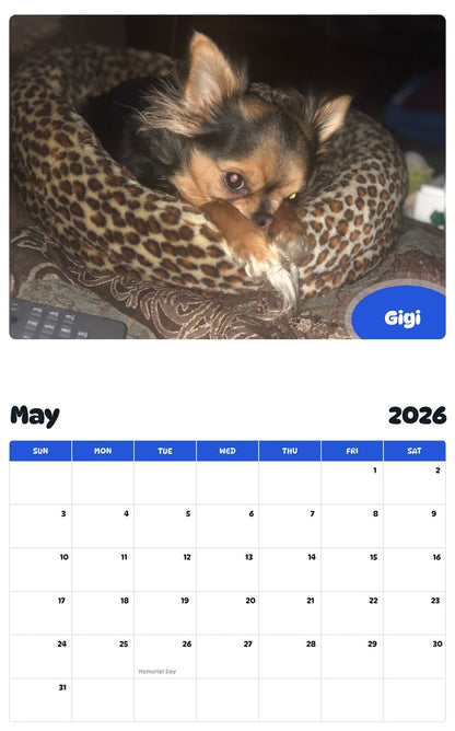2026 - 2027 Gigi - Pawidols Pet Calendar