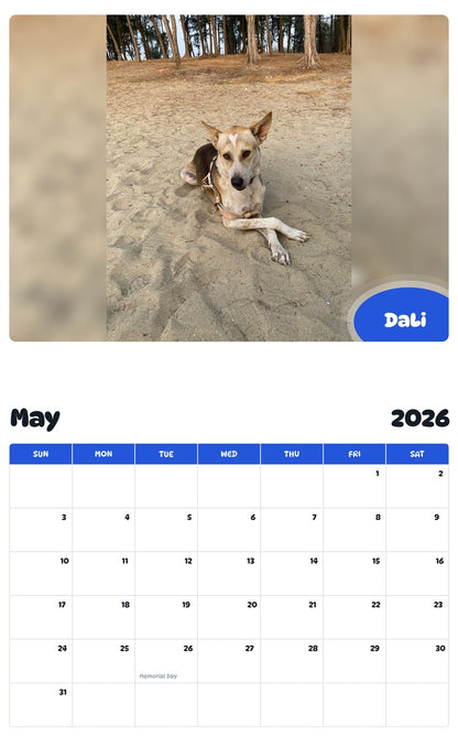 2026 - 2027 DaLi - Pawidols Pet Calendar