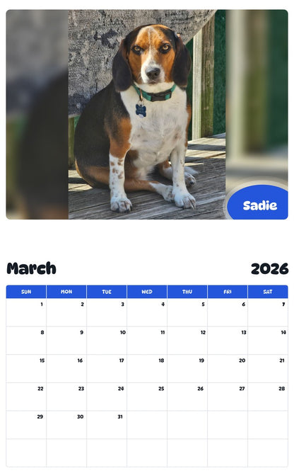 November 2025 - October 2026 Sadie - Pawidols Pet Calendar
