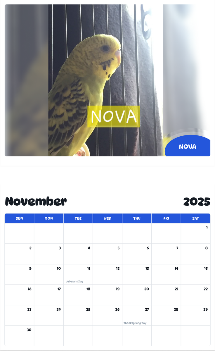 July 2025 - June 2026 Nova - Pawidols Pet Calendar