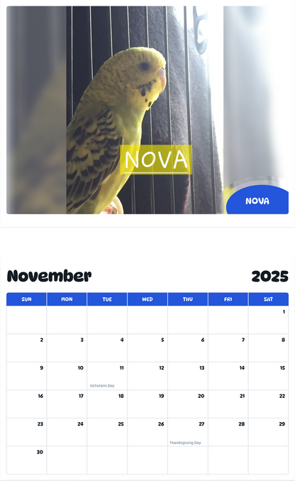 July 2025 - June 2026 Nova - Pawidols Pet Calendar