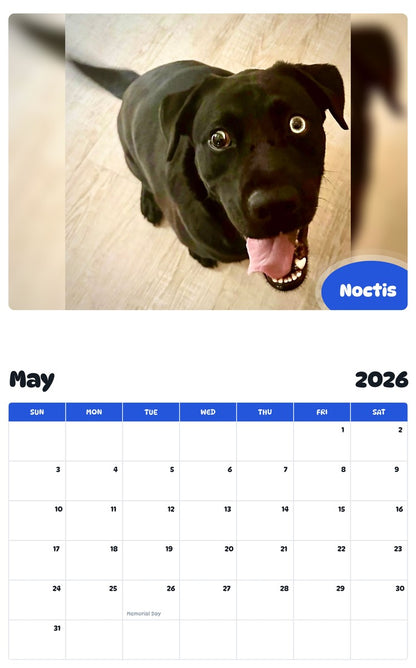 2026 - 2027 Noctis - Pawidols Pet Calendar