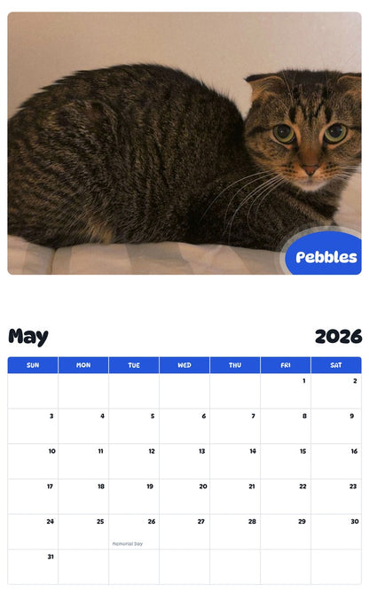 2026 - 2027 Pebbles - Pawidols Pet Calendar