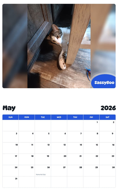 2026 - 2027 SassyBoo - Pawidols Pet Calendar