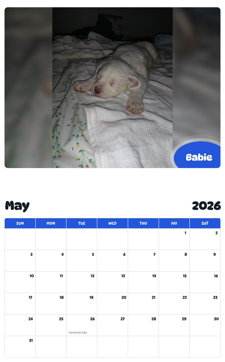 2026 - 2027 Babie - Pawidols Pet Calendar
