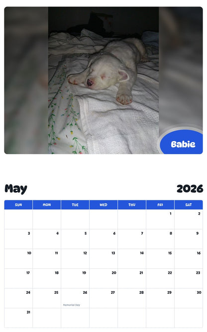 2026 - 2027 Babie - Pawidols Pet Calendar