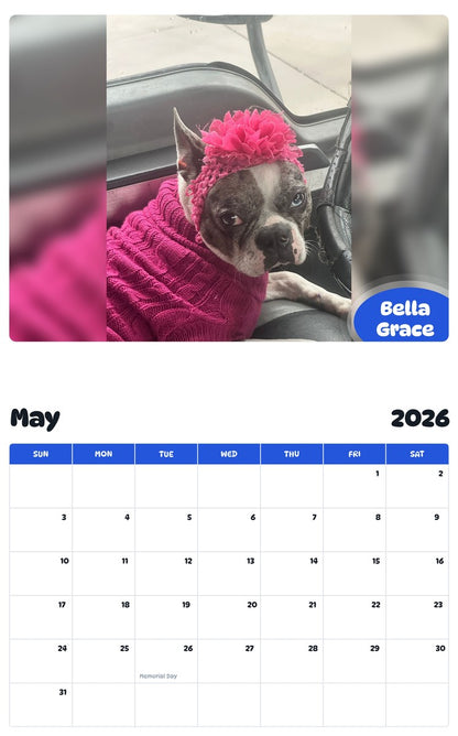 2026 - 2027 Bella Grace - Pawidols Pet Calendar
