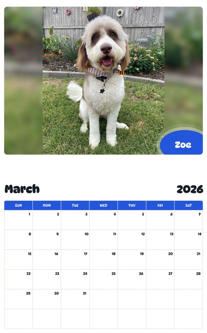 November 2025 - October 2026 Zoe - Pawidols Pet Calendar