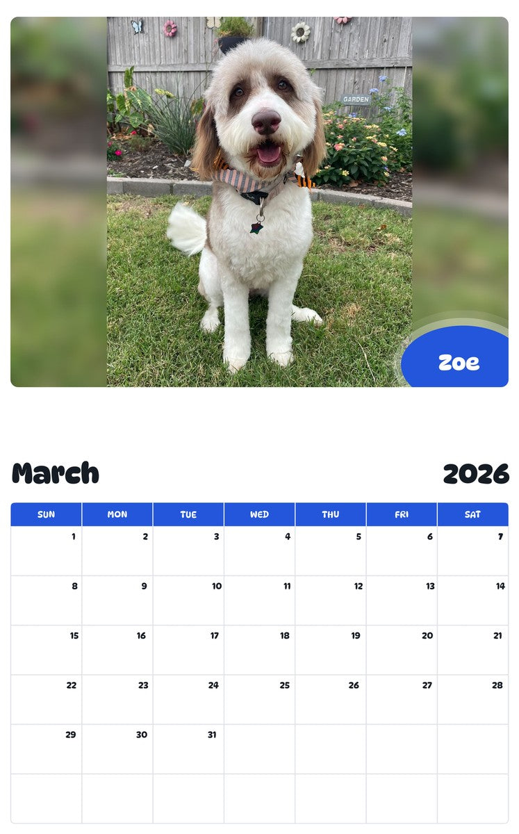 November 2025 - October 2026 Zoe - Pawidols Pet Calendar