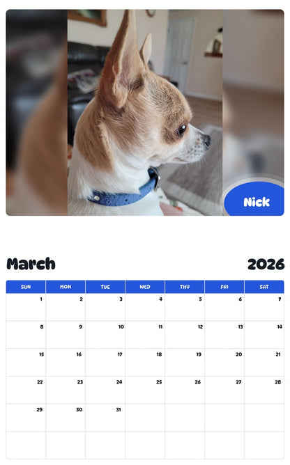 November 2025 - October 2026 Nick - Pawidols Pet Calendar