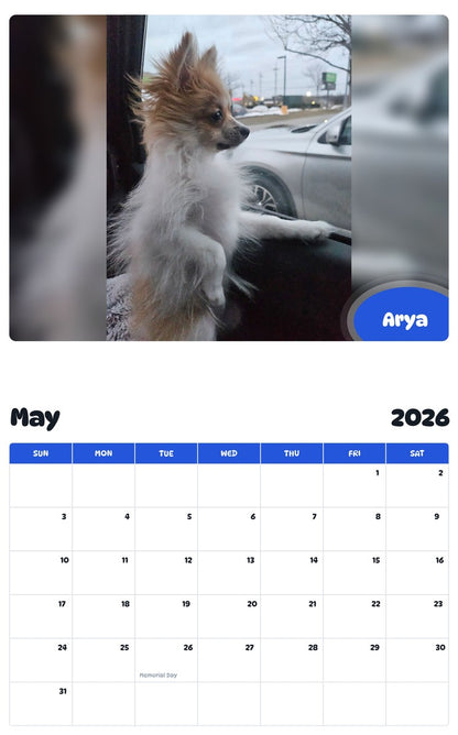 2026 - 2027 Arya - Pawidols Pet Calendar
