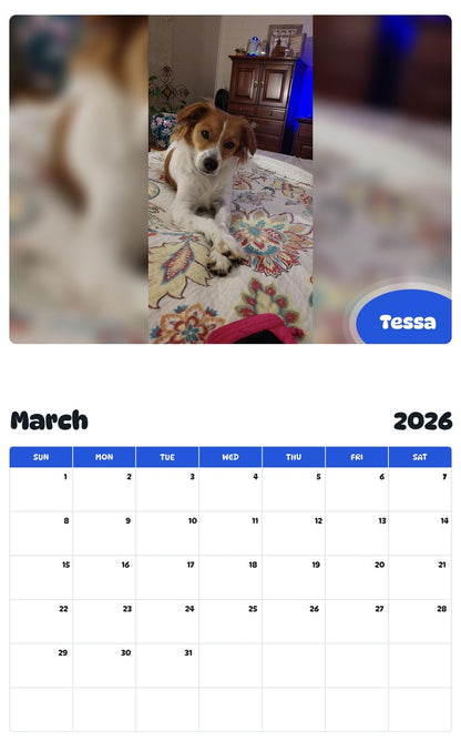 November 2025 - October 2026 Tessa - Pawidols Pet Calendar