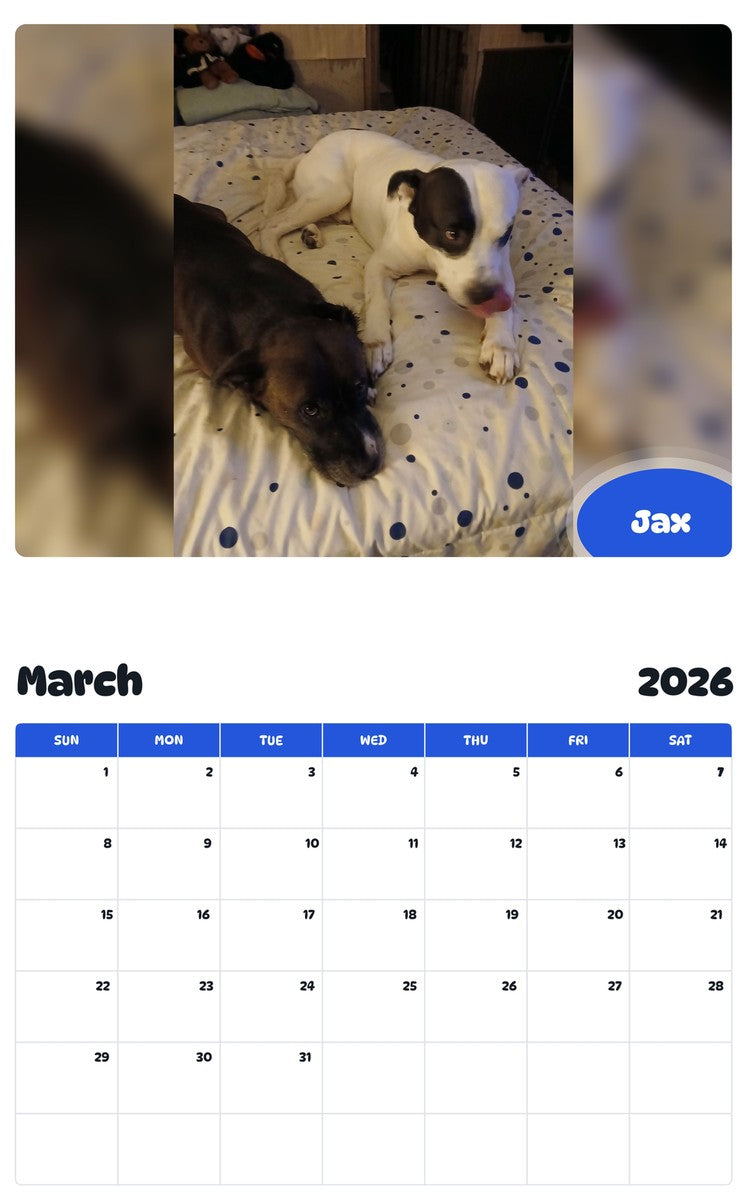 November 2025 - October 2026 Jax - Pawidols Pet Calendar