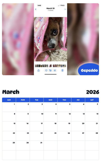 November 2025 - October 2026 Gepeddo - Pawidols Pet Calendar