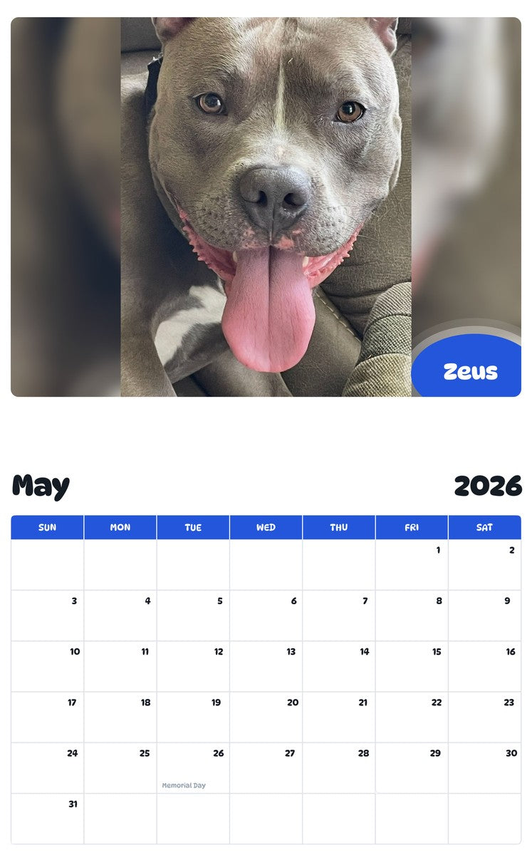 2026 - 2027 Zeus - Pawidols Pet Calendar